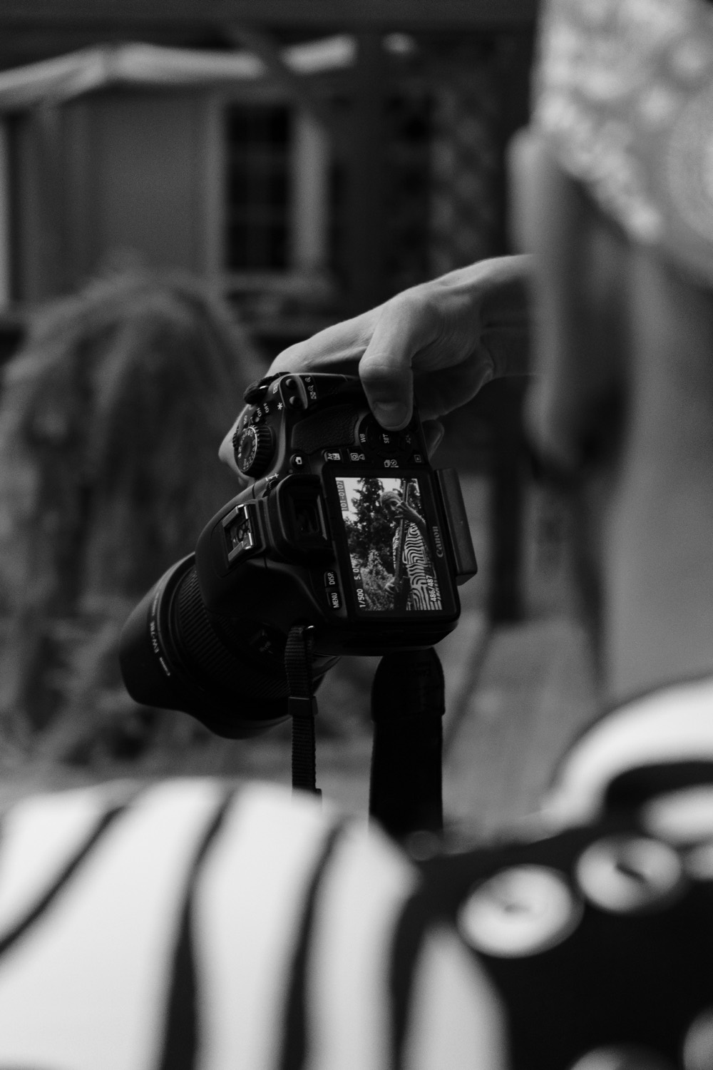 Street fotografie