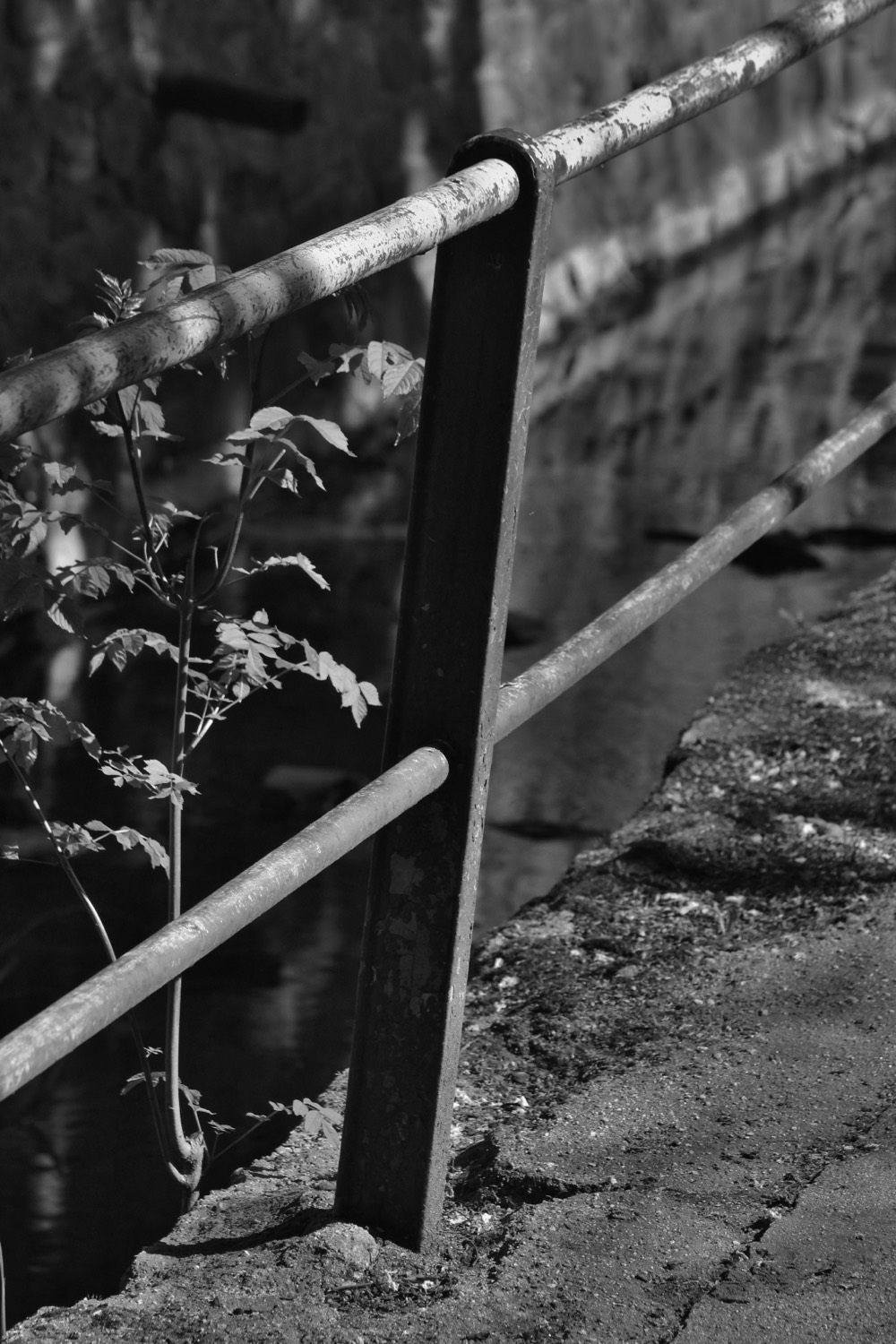 Street fotografie